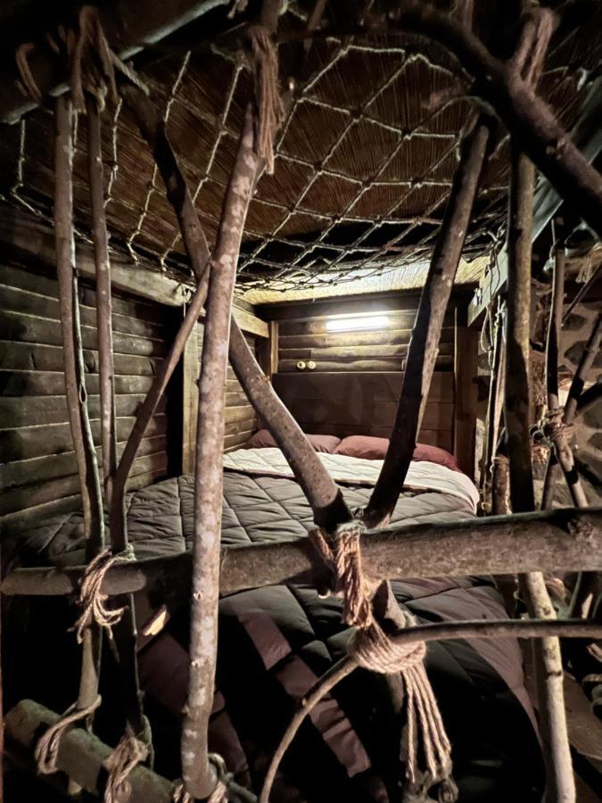 Insomnia Hotel بيرغا المظهر الخارجي الصورة